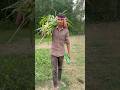 ￼ Kiti Main Kaam karne ka￼ Mehnat #funny #comedy #minivlog #bolak original vlog #indianyoutuber