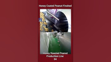 Honey Roasted Peanut Production Line Honey Coating Peanuts are Finished Turn-key Plant Suppliers