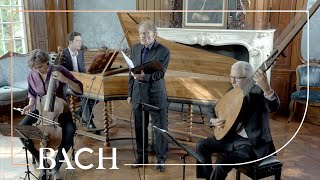 Bach - So Oft Ich Meine Tobackspfeife Bwv 515 - Daniels Netherlands Bach Society