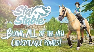 Buying ALL of the new Chincoteague ponies! | Star Stable Updates