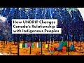 Indigenous Rights and Governance in Canada