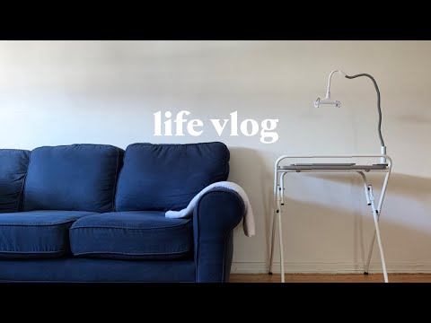 life vlog |