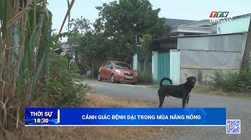 Cảnh giác bệnh dại trong mùa nắng nóng | TayNinhTV