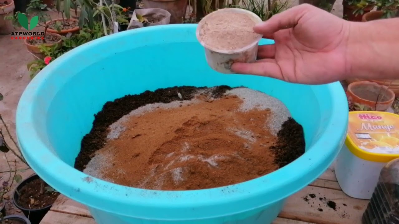 The best Soil Less Potting Mix (peat moss and coco peat)