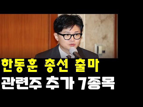 한동훈 총선출마 관련 추가 7종목 디티앤씨알오,디티앤씨,부방외