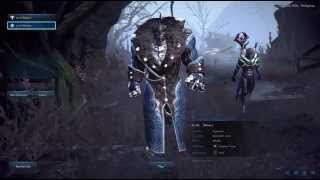 TERA Online (My Tera Characters)