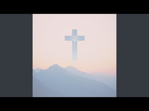 We The North — VI