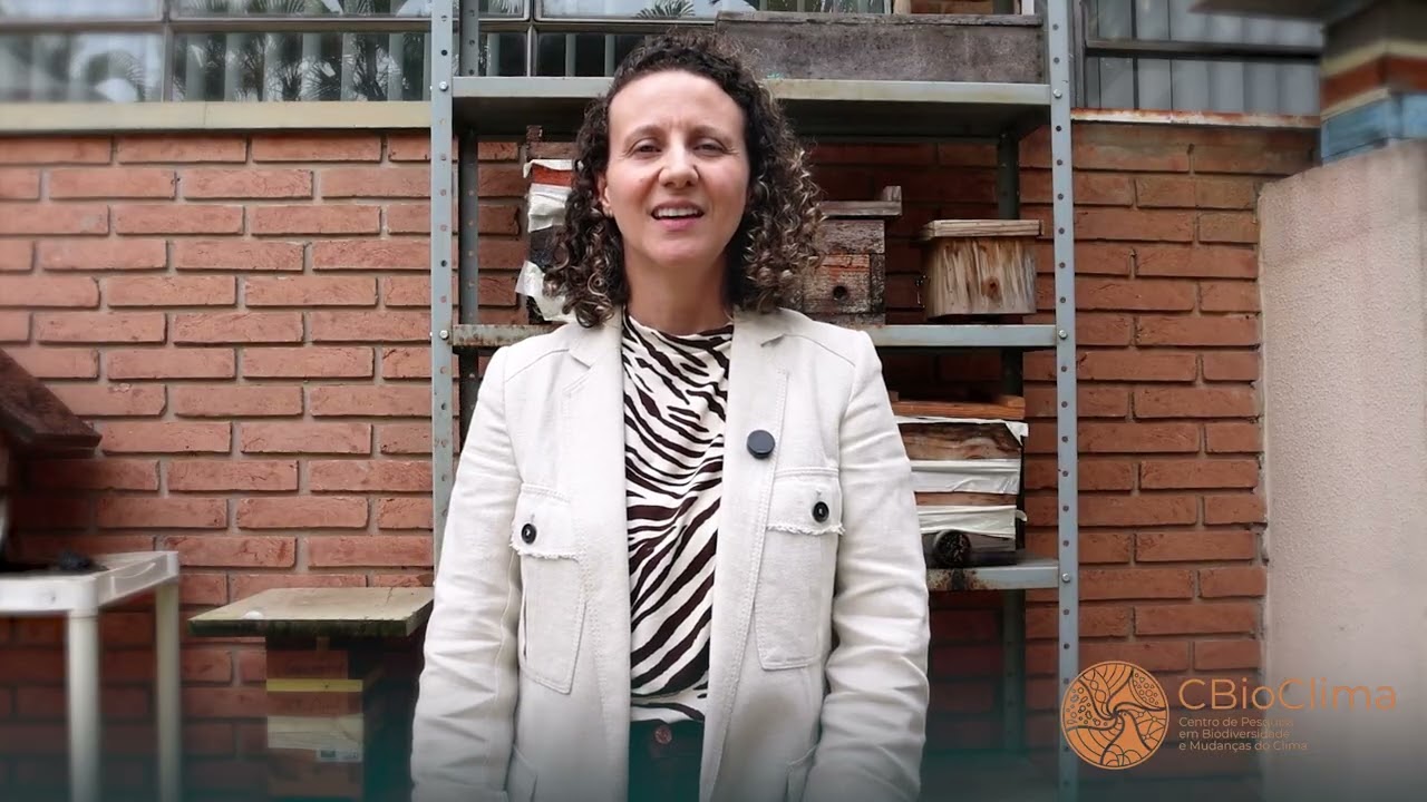 🐝 Dia das Abelhas: preservar os polinizadores é proteger a biodiversidade