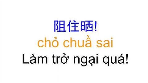 Tiếng Quảng Đông 29, 廣東話- 越南話 Từ câu rất khó nghe, thường  nói khi giận 難聽的短句