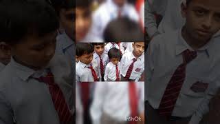 "Decoding Nature's Blueprint: Unraveling the Anatomy of a Plant!"