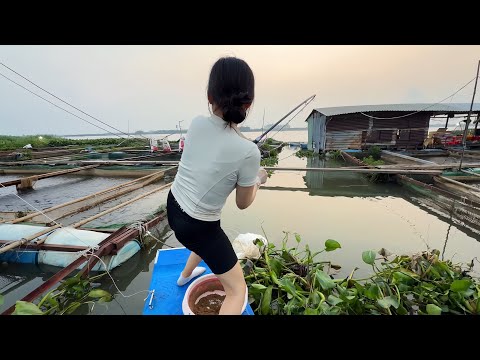 Bất Ngờ Chạm Mặt Cá Khủng Sau 1 Đêm Trên Sông Đồng Nai | Monster Fish Encounter