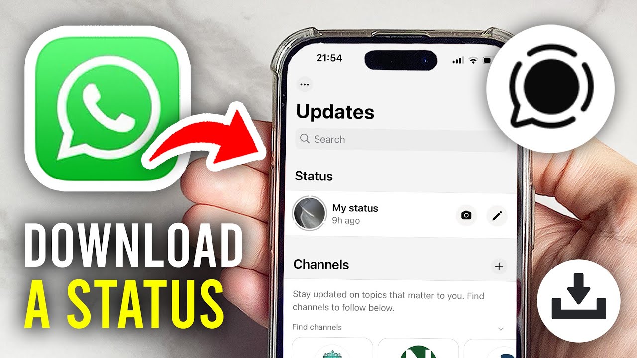 How To Download WhatsApp Status On iPhone (Save) - Full Guide - YouTube