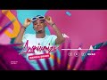 Mapesa Brand Ananiumiza Official Music Audio