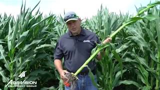 AgriVision Equipment Field Demonstration Plot Update - Corn