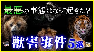 【ゆっくり解説】野生生物の恐ろしさ…日本と世界で起きた最悪の「獣害事件」5選を解説/ヒグマ・トラ・ワニ・ライオン…過去から学ぶ教訓とは