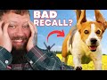 How To Stop Your Dog Running Away! - Perfect Recall