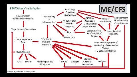 EBV, ME/CFS, and a Novel Vagus Nerve Theory