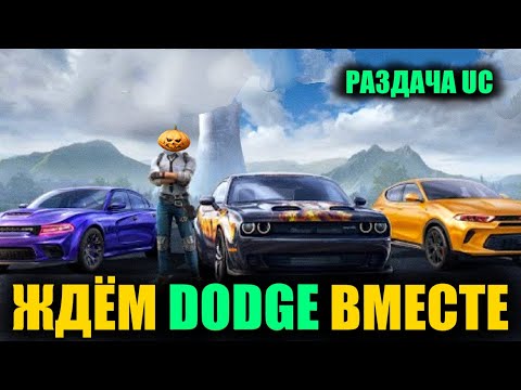 ЖДЁМ СКИНЫ DODGE ВМЕСТЕ в PUBG MOBILE! РАЗДАЧА UC КАЖДЫЕ 555 ЛАЙКОВ! DREAM STREAM ПУБГ МОБАЙЛ!!