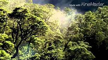 القارئ الشيخ/ مبارك الغيثي دُعاء مُؤثر