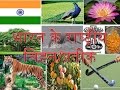 National Symbol of India in Hindi (भारत के राष्ट्रीय चिह्न/प्रतीक)