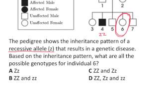 Genotypes and Punnett Squares Homework #2