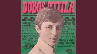 Video thumbnail of "Attila Dobos - Kövek a vízparton"