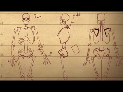 Vidéo: Comment Dessiner Un Squelette Humain