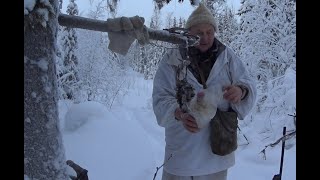 Охота на куницу,Смесь вонючая,как и из чего я делаю.A smelly mixture for traps.