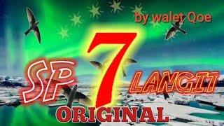 SUARA PANGGIL WALET SP. 7 LANGIT (SUARA PANGGIL WALET TERBAIK)