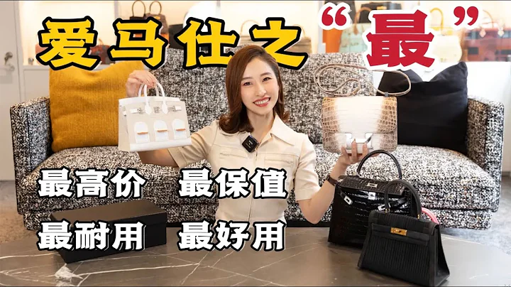 盘点最高价/保值/耐用/好用的爱马仕包 深度对比喜马拉雅和小房子 [ENG SUB] - 天天要闻