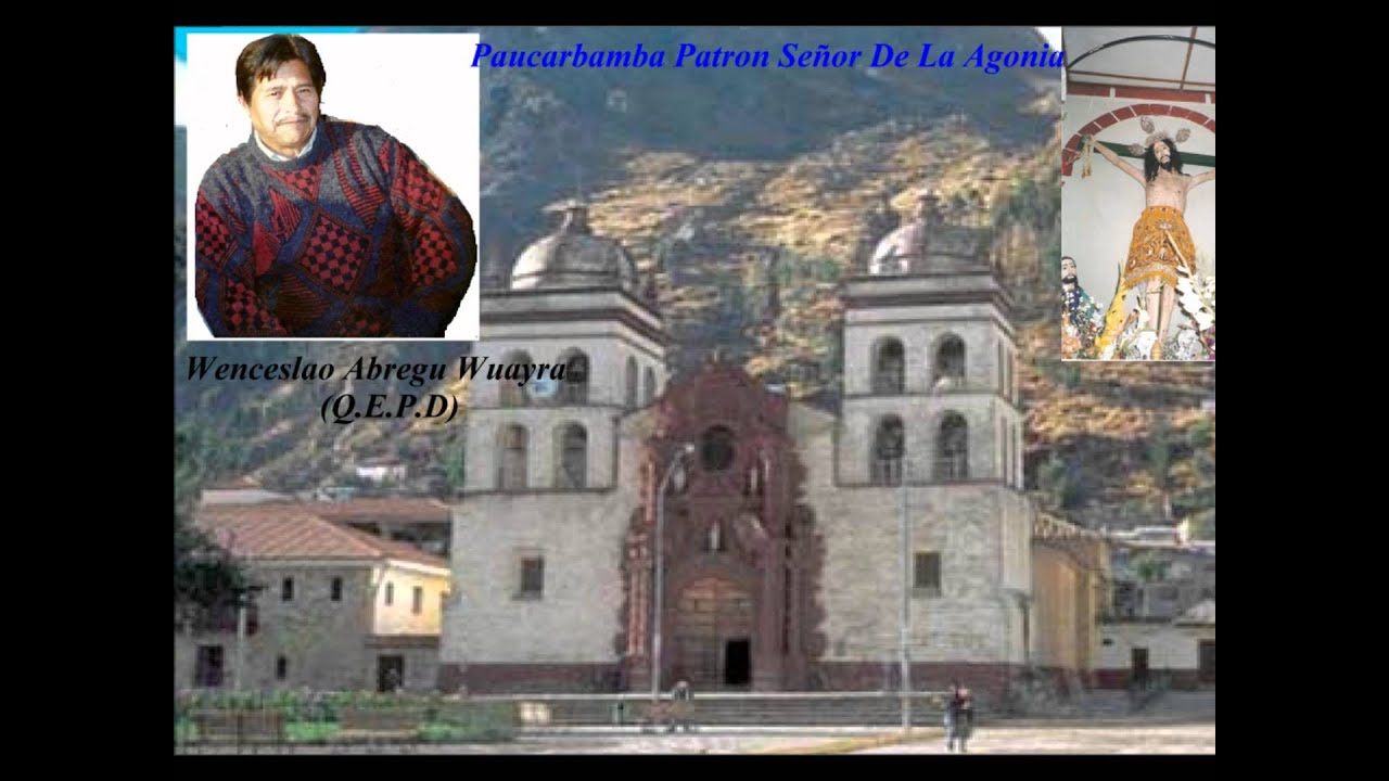 Picaflor De Los Andes Gorrioncito Youtube