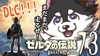 【はじめてのゼルダの伝説】＃73　DLC！DLC！宝探し！！【BotW】