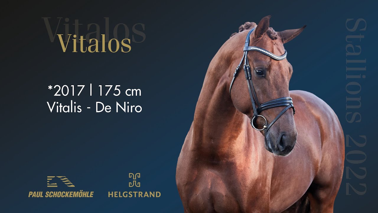 Vitalos - Dressurkollektion 2022 Schockemöhle & Helgstrand (DEU)