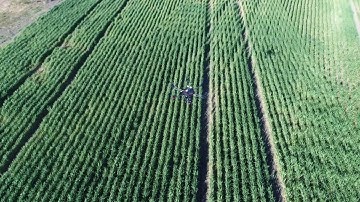 Matrice with hyperspectral camera Pika scanning barley crop