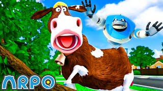 The Cow Goes Crazy! | ARPO The Robot Classics | Baby Compilation | Funny Kids Cartoons