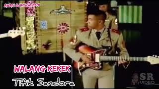 TITIK SANDORA - WALANG KEKEK 1970