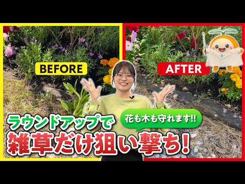 花壇の草対策、たった3つの方法でスッキリ解決！雑草を防ぐコツと駆除の実践テクニック