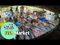 नवी मुंबईतील स्वस्त आणि मस्त कामोठे फिश मार्केट 🐠🦐 | Kamothe Fish Market - Panvel (Navi Mumbai)