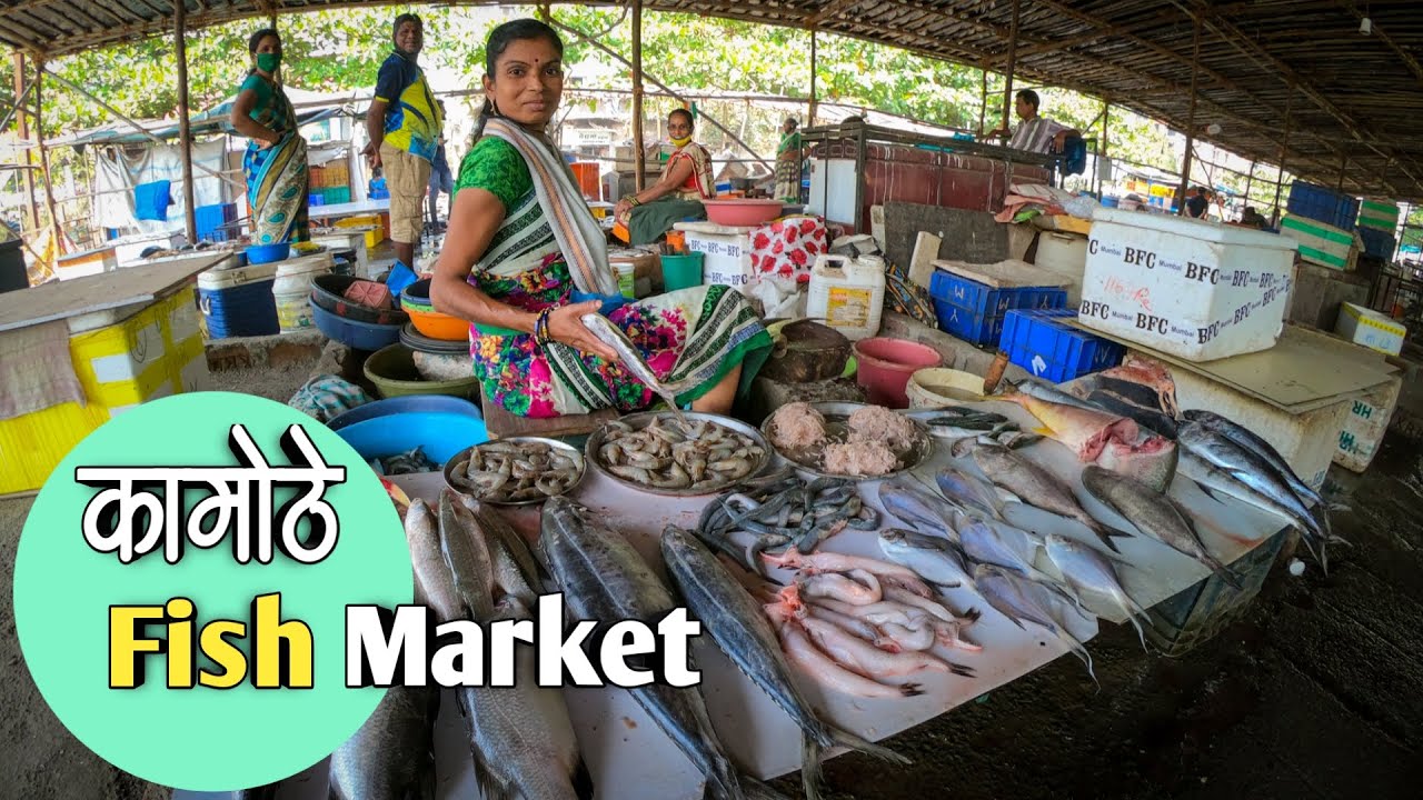 नवी मुंबईतील स्वस्त आणि मस्त कामोठे फिश मार्केट 🐠🦐 Kamothe Fish