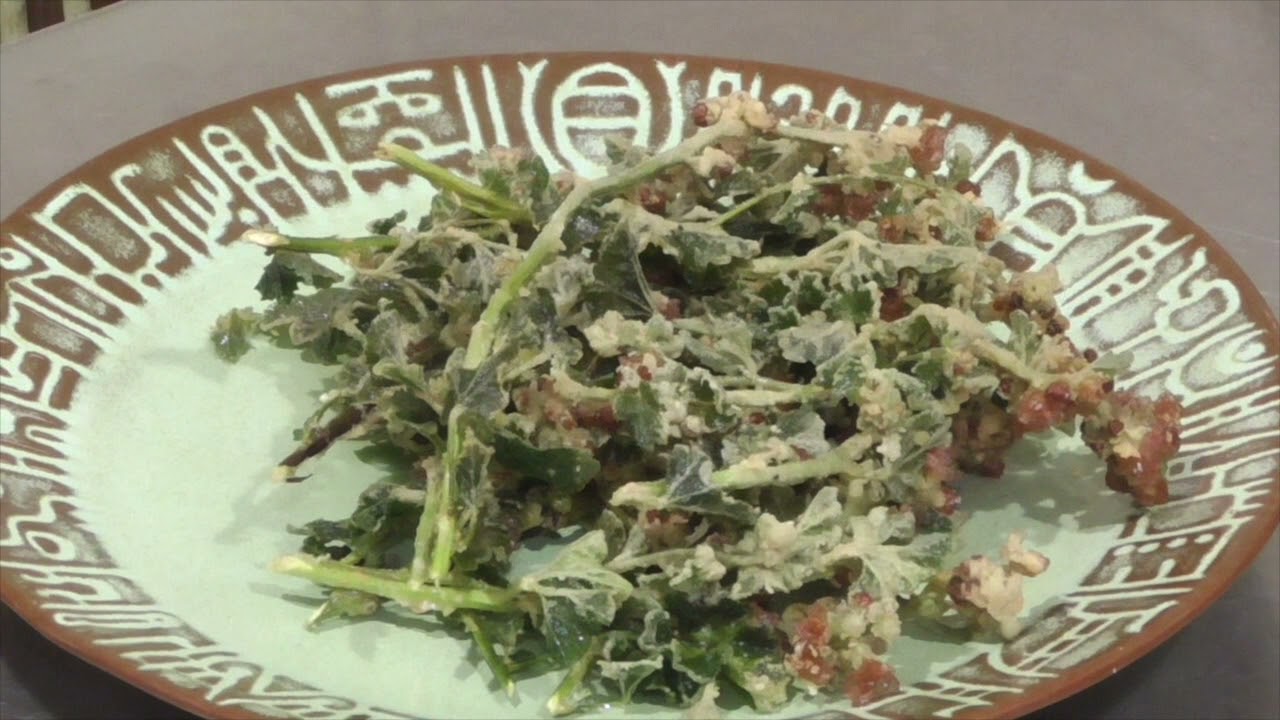 Eating Wild Globemallow (TIS337)