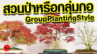 บอนไซทรงกลุ่มกอ, บอนไซสวนป่า, แรงบันดาลใจสร้างบอนไซ, Group Planting Style, Bonsai inspiration