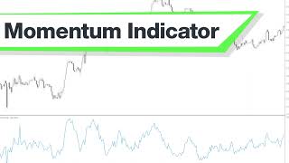 Momentum Forex Indicator Mt4 - Best Review For 1 Minute