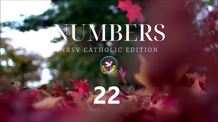 Numbers 22 | English Audio Bible | AFCM | NRSV Catholic Edition