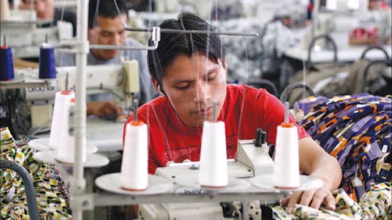 SECTOR INDUSTRIAL MANUFACTURERO