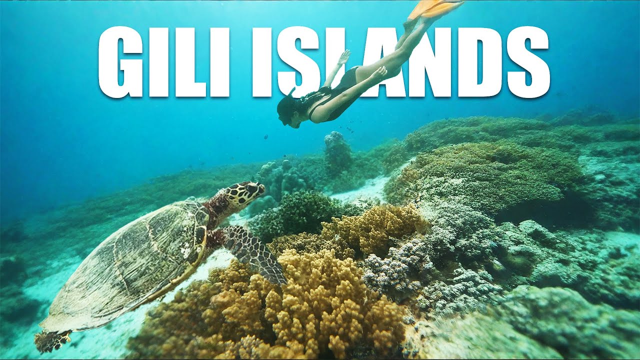 Beyond Bali: Best of the Gili Islands🐢| Indonesian Paradise - YouTube