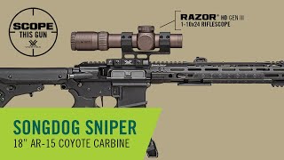 Ar-15 Build For Coyote Hunting Scope This Gun