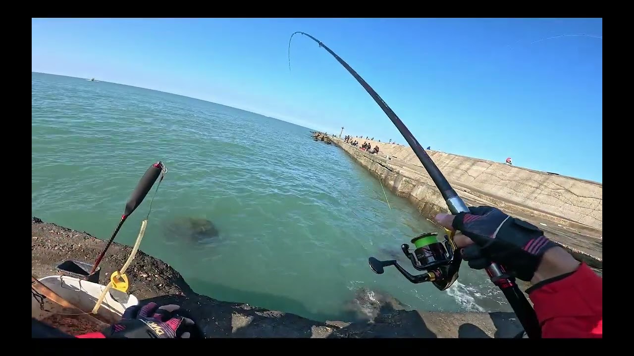 新竹南寮北堤 走走來運動一下 #磯釣 #fishing #黑格 #班頭 #黑毛 