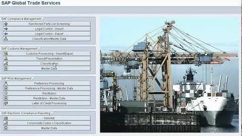 SAP Global Trade Services Overview