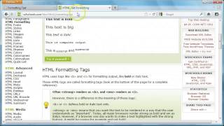 Celebrity HTML Tutorial 3   Text Formatting and Coloring Net Worth