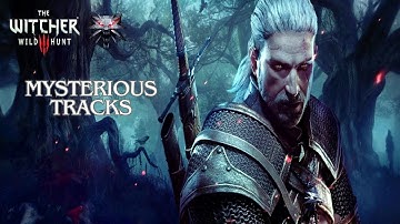 witcher 3 - contract : Mysterious tracks
